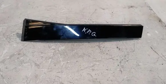 Volkswagen Phaeton Other rear door trim element 