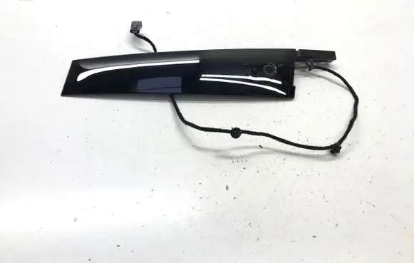 Ford Mustang Mach-E Front door trim (molding) LJ8BR20898 LJ8BR20898BGW