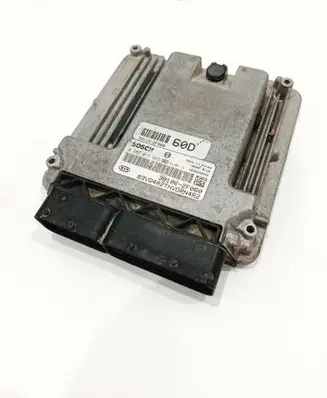 Hyundai Santa Fe Engine control unit/module 391002F060 391152F060 0281017952