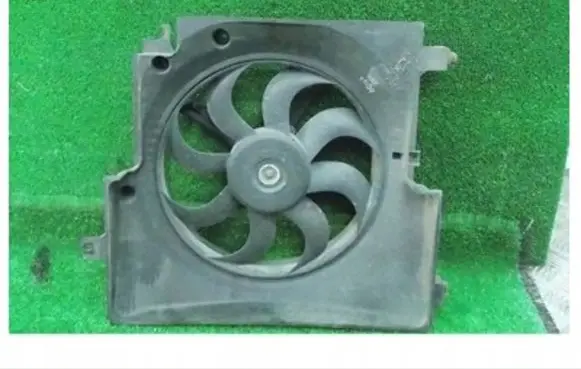 KIA Carnival Electric radiator cooling fan