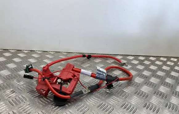BMW Z4 E89 Positive cable (battery) 9249103
