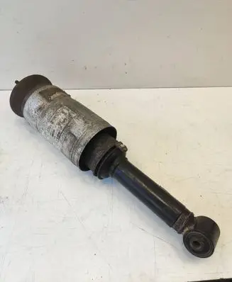 Land Rover Range Rover Sport L320 Air suspension front shock absorber RNB501220