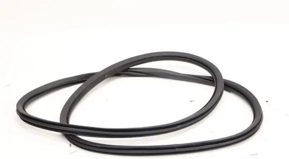 Opel Corsa F Rubber seal front door (on door) 5774113