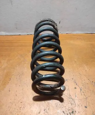 Hyundai Sonata Rear coil spring