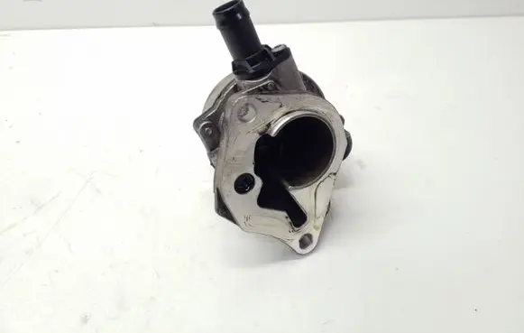 Nissan Juke I F15 Vacuum pump 8201005306B 7005730302