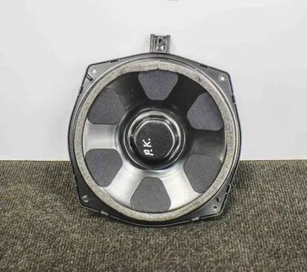 Front door speaker