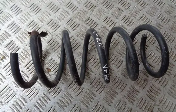 Rear coil spring