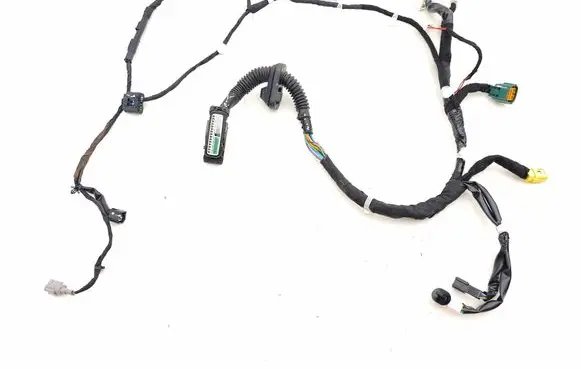 Front door wiring loom