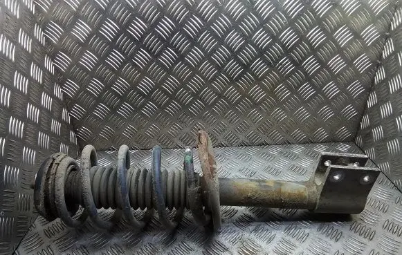 Peugeot 308 Front shock absorber with coil spring