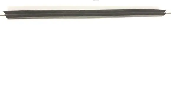 Ford Mustang Mach-E Front door glass trim molding LJ8BR20570A