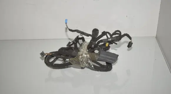 Front door wiring loom