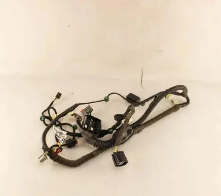 Ford Kuga II Front door wiring loom FV4T14K138
