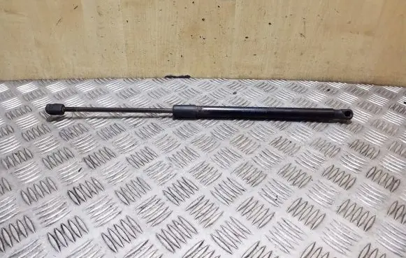 Tailgate/trunk strut/damper