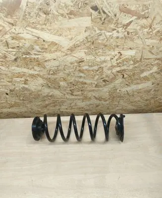 Rear coil spring