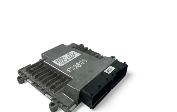 Engine control unit/module ECU