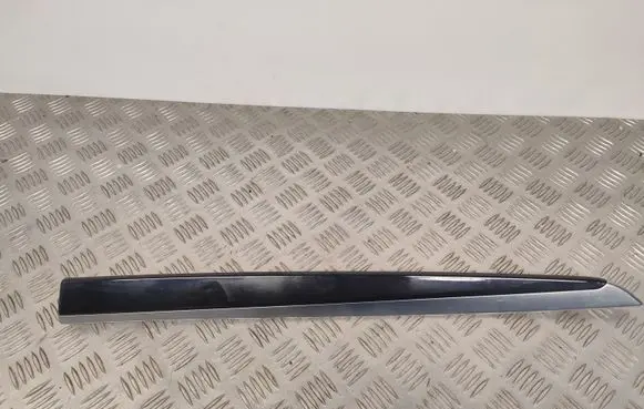 BMW 5 F10 F11 Rear door card trim 9171780