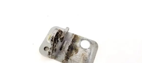 Audi A4 S4 B6 8E 8H Rear door lower hinge