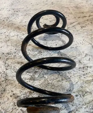 Rear coil spring