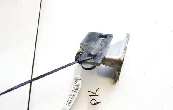 Rear door lower hinge