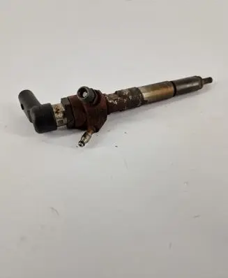 Nissan Qashqai Fuel injector 166006212R