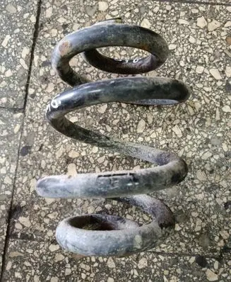 Rear coil spring