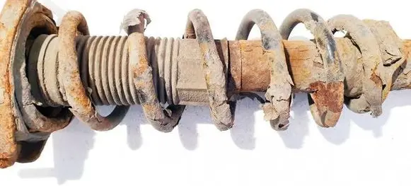 Rear coil spring