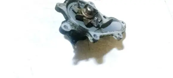 Nissan Almera N16 Water pump