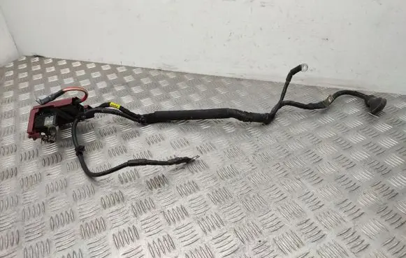 Positive wiring loom