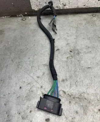 Renault Koleos II Other wiring loom 1355163 PBTGF20 1355164
