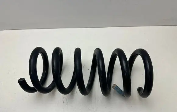 Ford Mustang VI Rear coil spring Q48PA