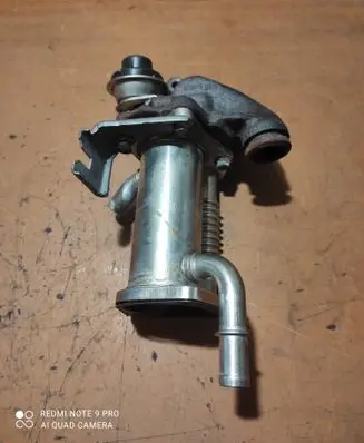 Nissan Juke I F15 EGR valve cooler 147355713R 300113B