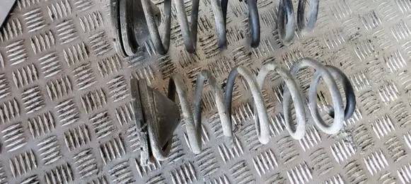 Rear coil spring