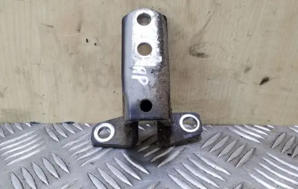 Peugeot 4007 Rear door lower hinge