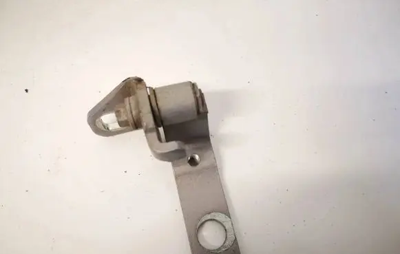Ford Focus Rear door lower hinge