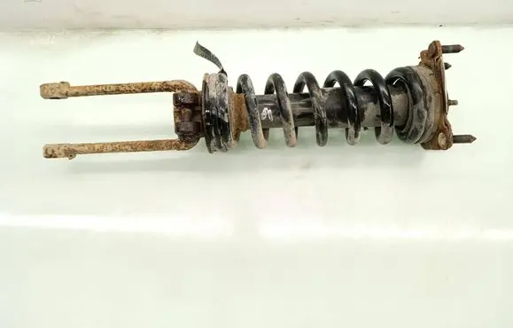 Dodge Nitro Front shock absorber with coil spring 