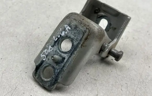 Rear door lower hinge