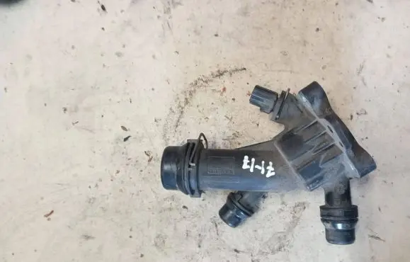 Thermostat/thermostat housing
