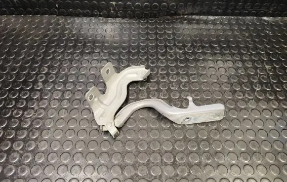 Nissan Murano Z51 Engine bonnet/hood hinges 1AAL