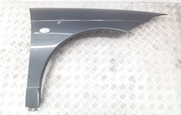 Citroen C6 Fender