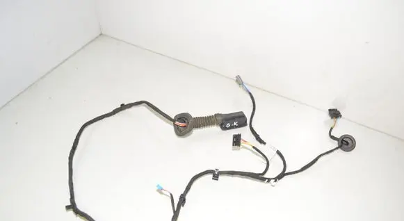 Rear door wiring loom