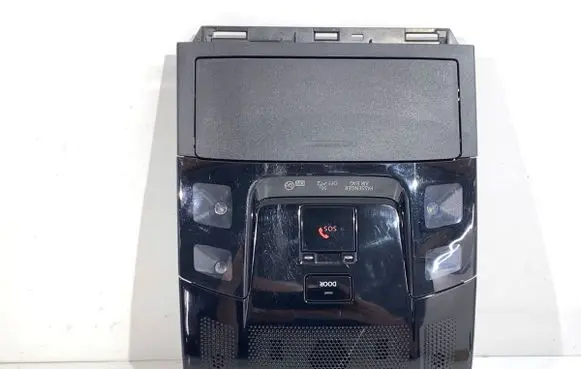 Lexus NX Headlining lighting console trim 1D111319G