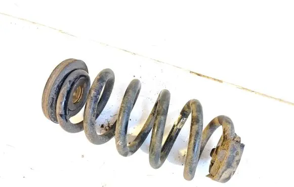 Cupra Born Front coil spring 1EA512149