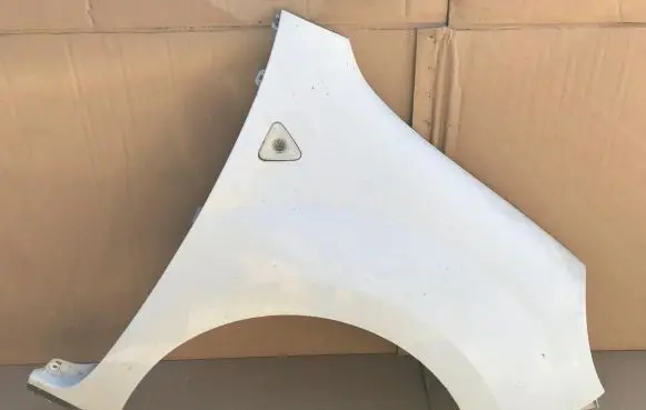 Renault Kangoo II Fender 631002009R