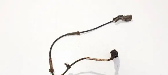 Other wiring loom