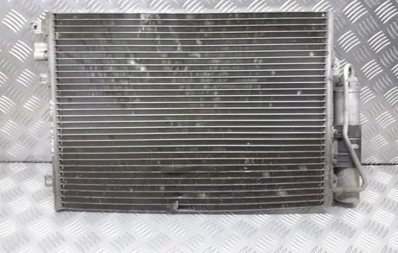 Renault Thalia II Radiator set 8200343476