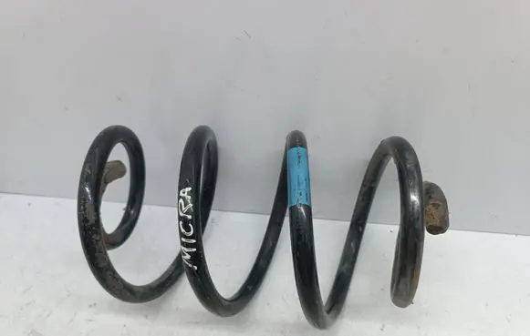 Rear coil spring