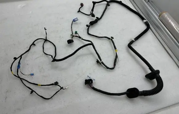 Front door wiring loom
