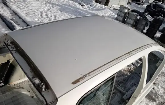Seat Leon (1M) Roof 