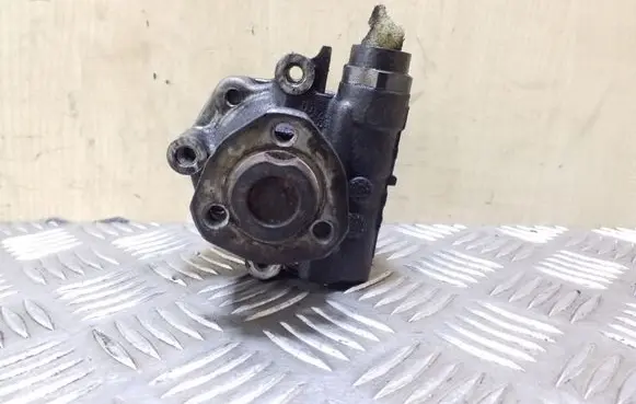 Volkswagen Multivan T4 Power steering pump 7D0422155
