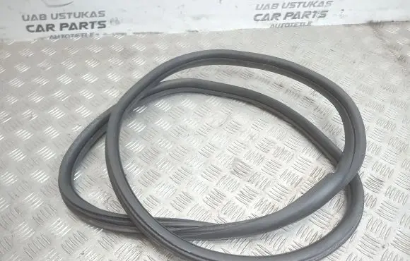 Citroen C4 Cactus Rear door rubber seal (on body) 